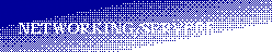 Text Box:         NETWORKING/SERVERS