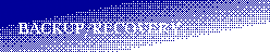 Text Box:         BACKUP/RECOVERY